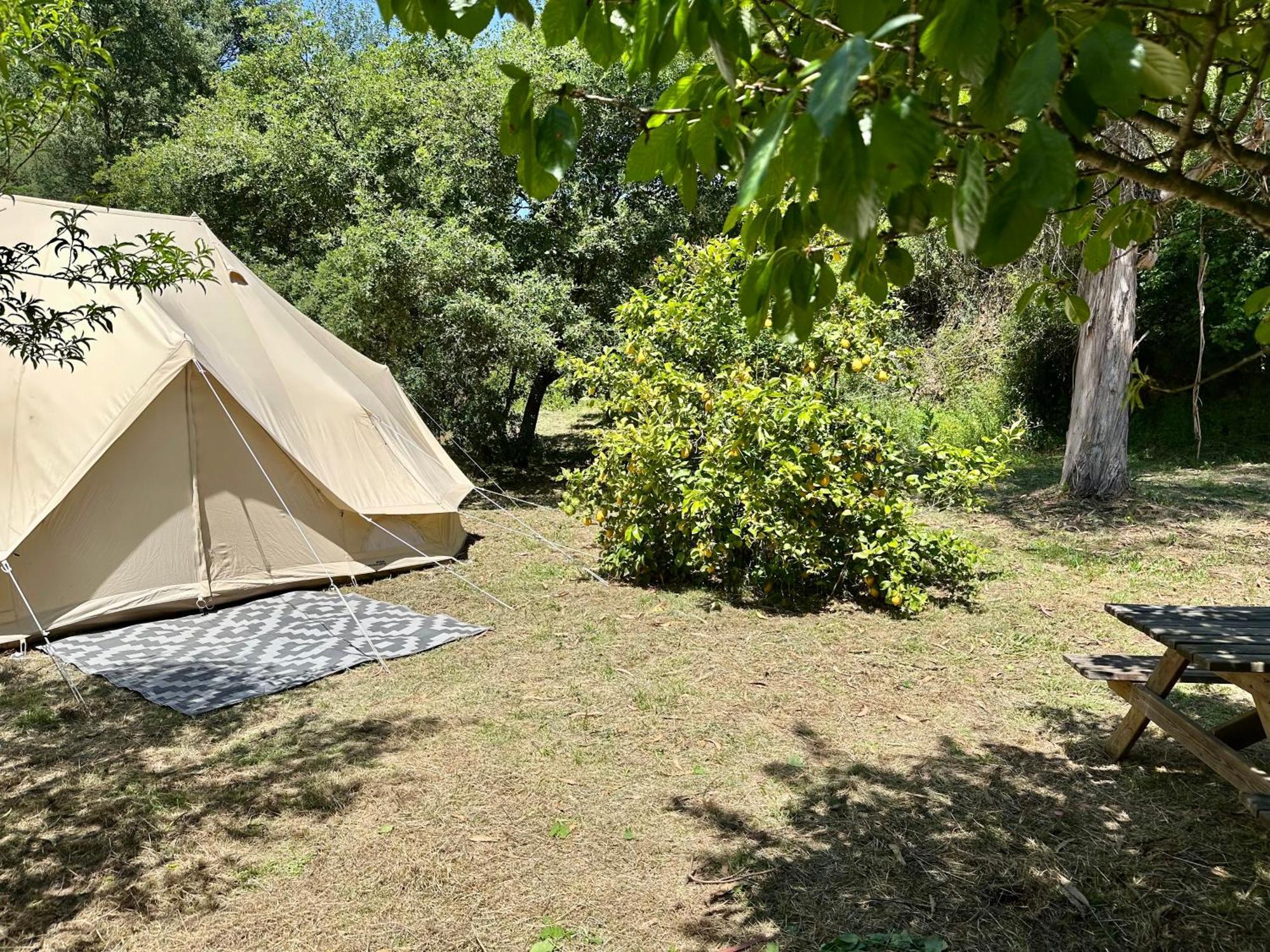 Giant Canvas Rental Tent Agro-Turismo Quinta Da Fonte Figueiro Dos Vinhos Exteriör bild