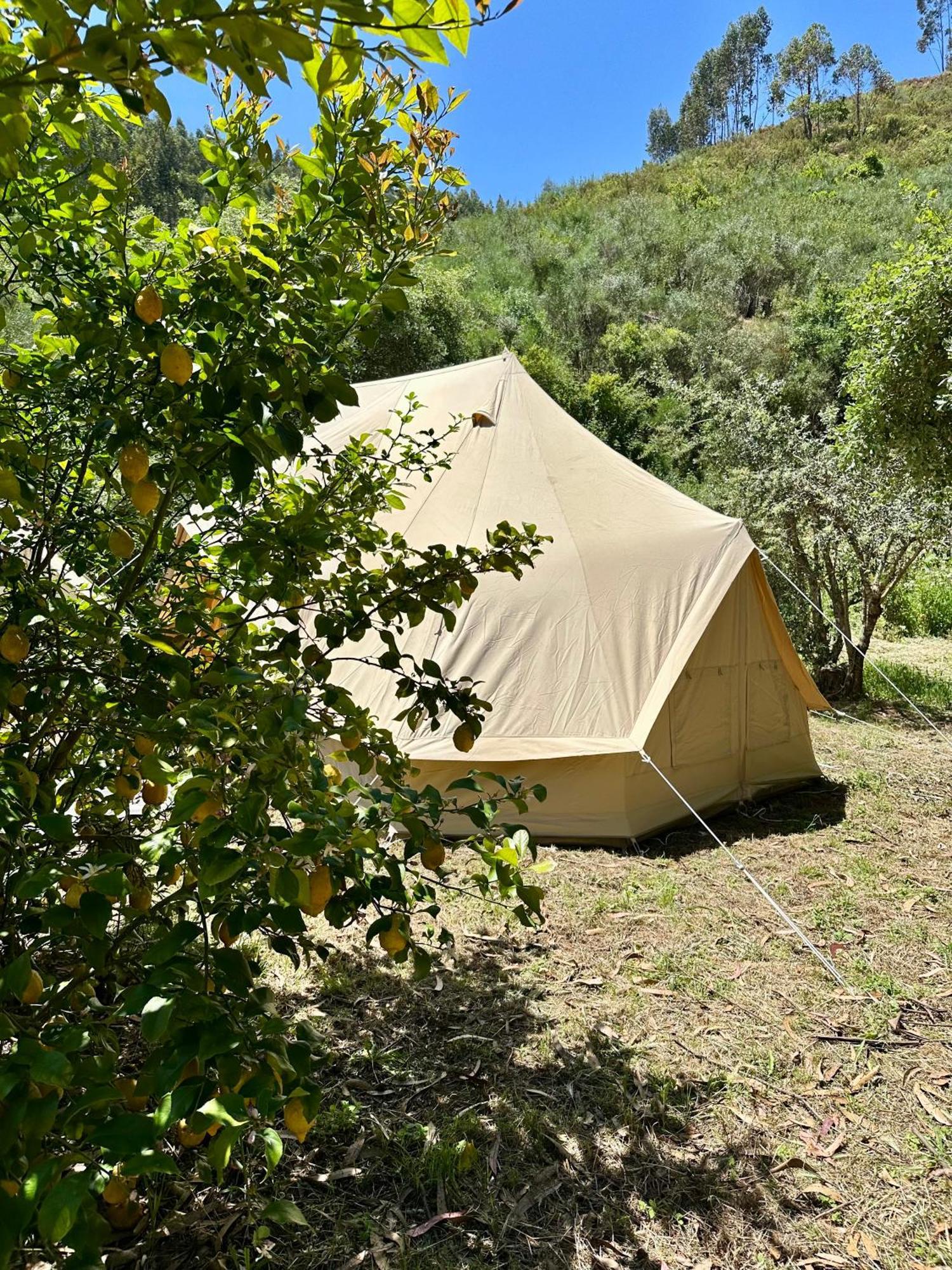 Giant Canvas Rental Tent Agro-Turismo Quinta Da Fonte Figueiro Dos Vinhos Exteriör bild